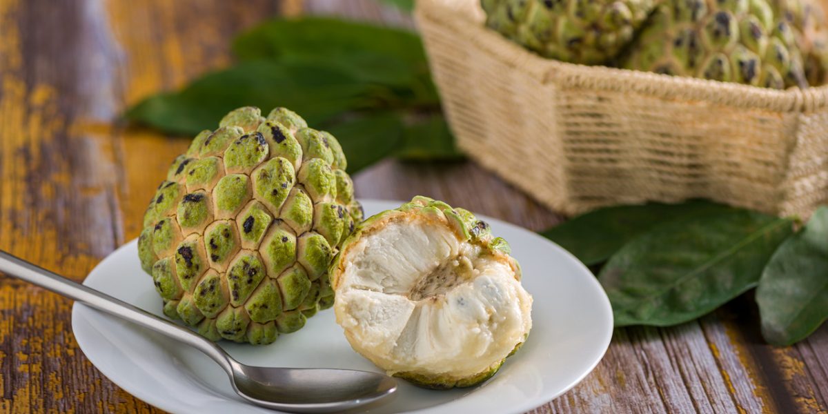 is-custard-apple-good-for-diabetes?-let’s-find-out