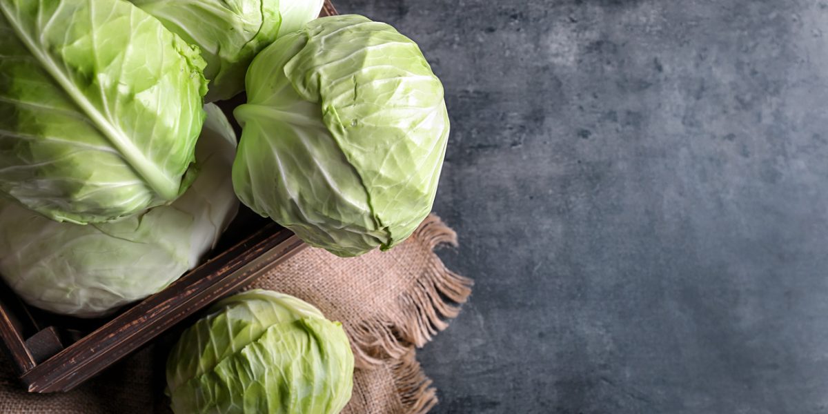 cabbage-for-diabetes:-what-does-science-say?