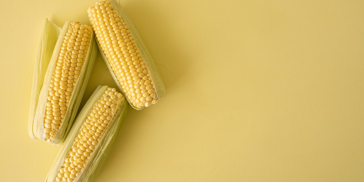 is-corn-good-for-diabetes?-a-detailed-guide