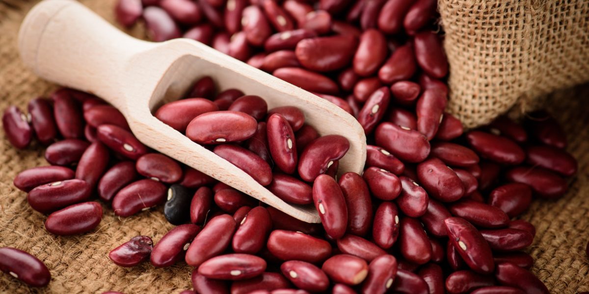 is-rajma-good-for-weight-loss?-here’s-what-research-says