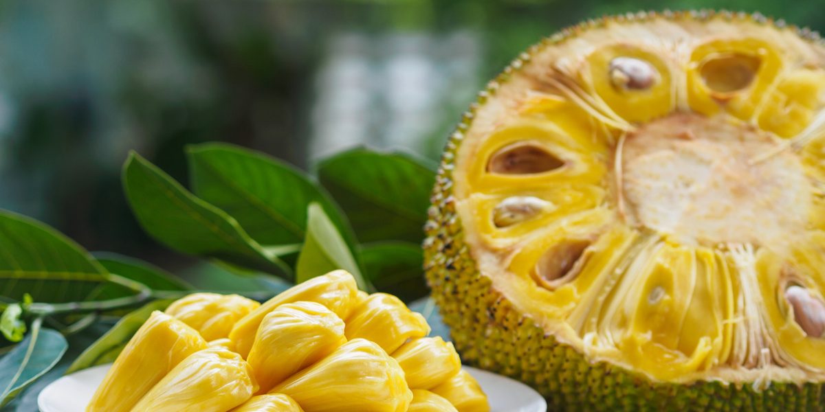 is-jackfruit-good-for-weight-loss?-let’s-find-out