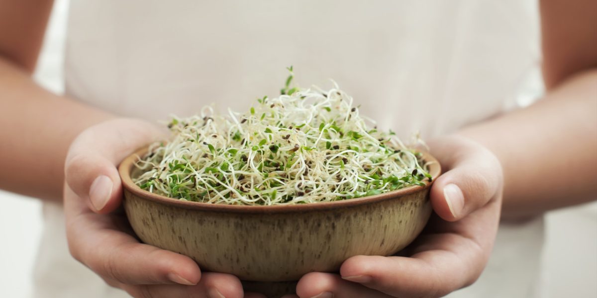 from-seeds-to-sprouts:-are-sprouts-useful-for-weight-loss?