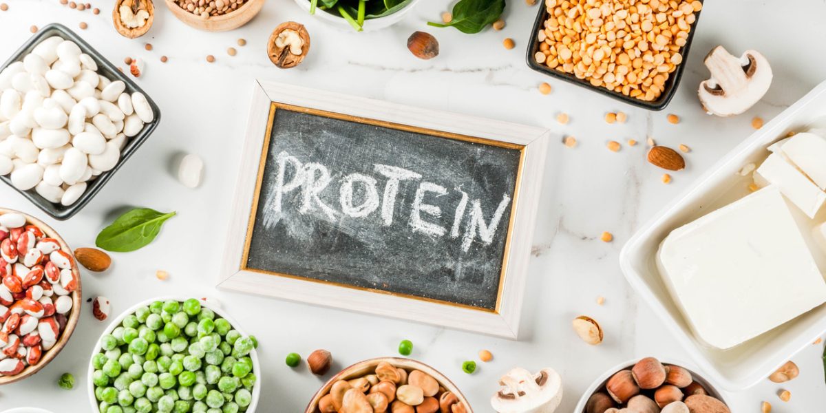 whey-protein-vs-plant-protein:-a-comprehensive-guide