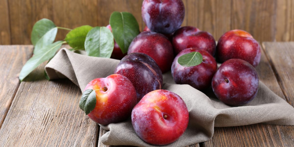 plums:-balls-of-wonderful-health-benefits 