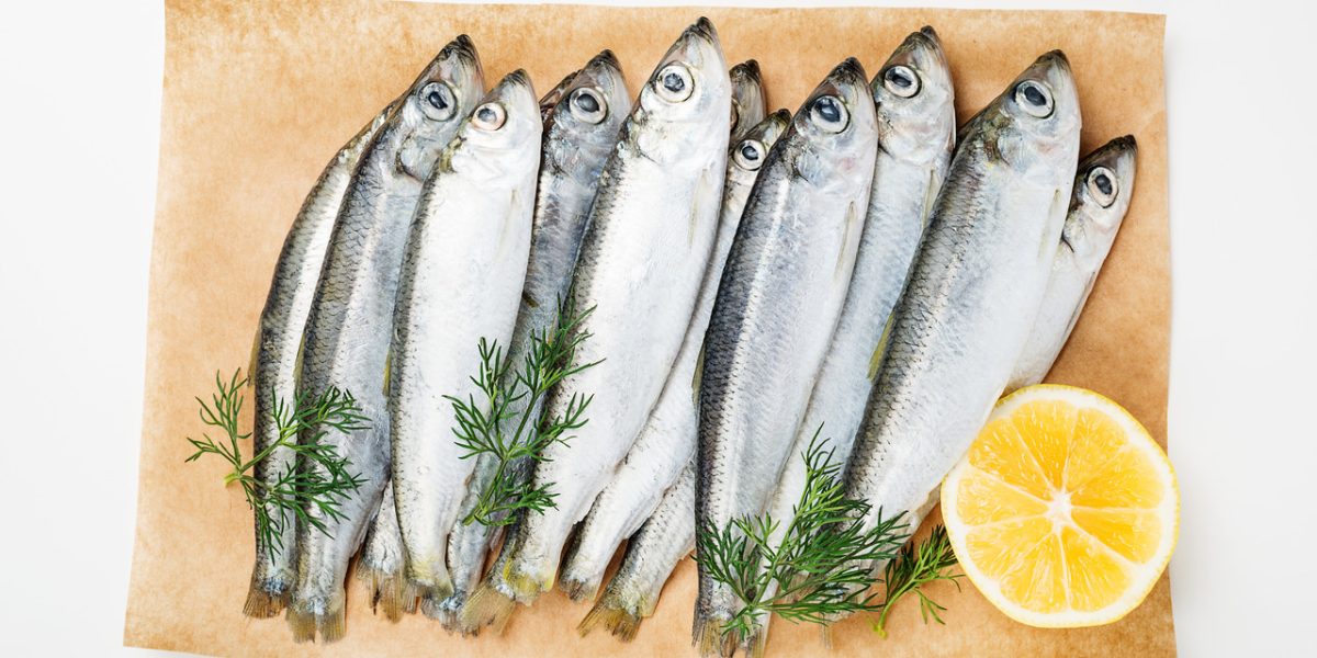 sardines:-everything-you-need-to-know