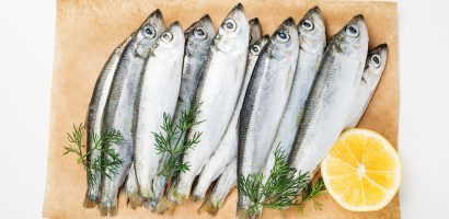 sardines:-everything-you-need-to-know