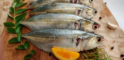 indian-mackerel:-an-exhaustive-guide-on-the-indigenous-fish 