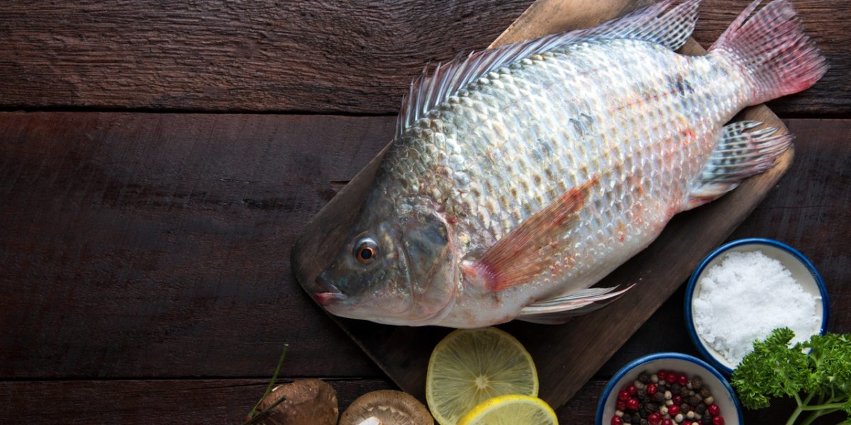 tilapia-nutritional-benefits,-health-benefits,-recipes-and-more