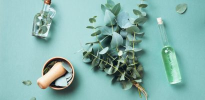 eucalyptus:-benefits,-uses,-precautions-and-more