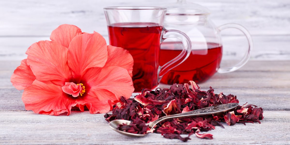 hibiscus-flower:-detailed-nutrition-based-guide