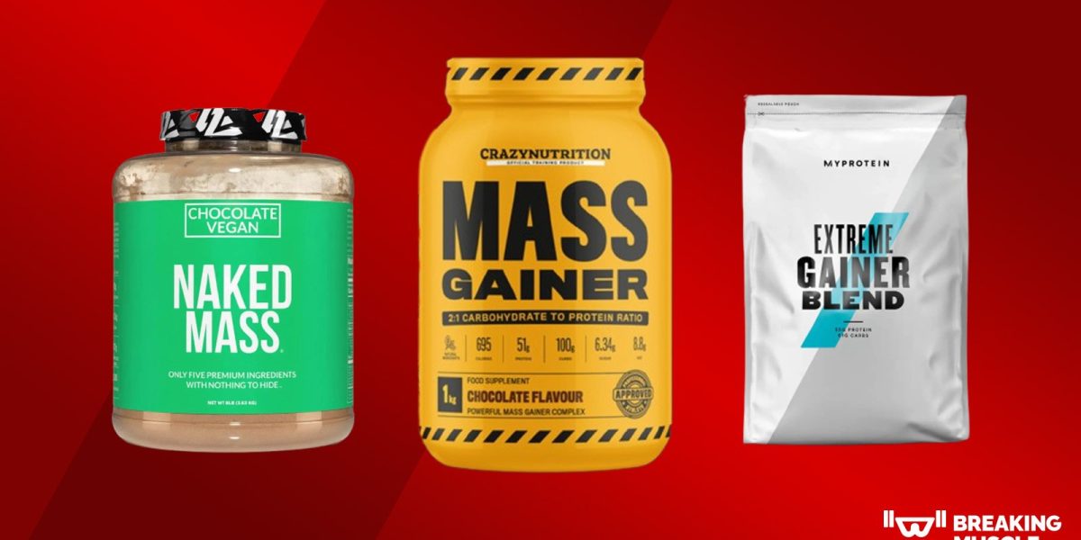 8-best-mass-gainers-for-bulking-up-fast