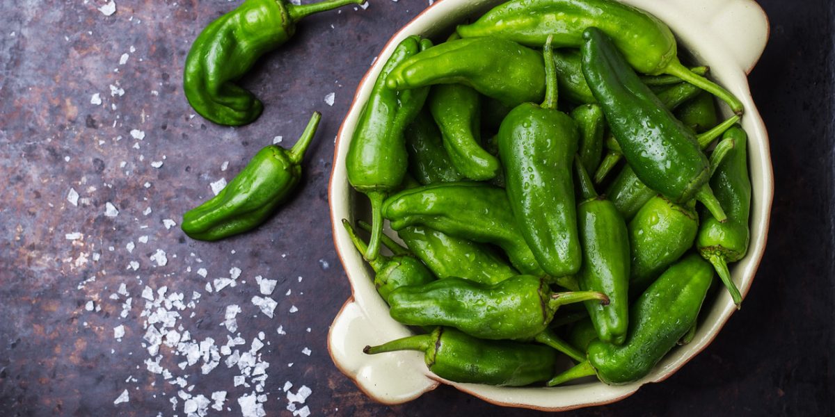 jalapeno-peppers:-adding-spice-to-balance-your-meals