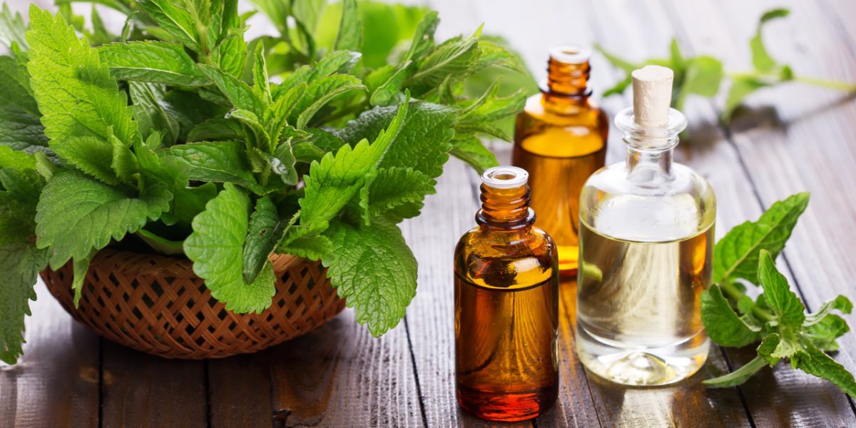 peppermint:-health-benefits,-culinary-uses,-precautions-and-more