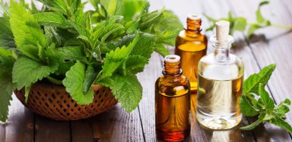 peppermint:-health-benefits,-culinary-uses,-precautions-and-more