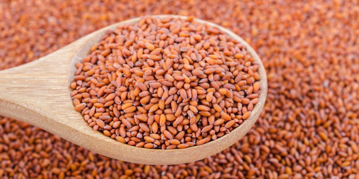 halim-seeds:-tiny-wonders-of-health-benefits 