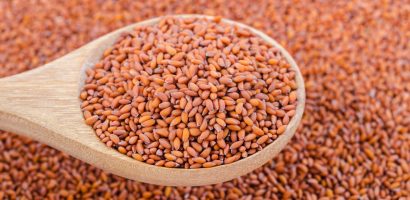 halim-seeds:-tiny-wonders-of-health-benefits 