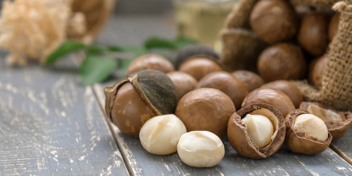 macadamia-nuts:-an-all-in-one-guide 