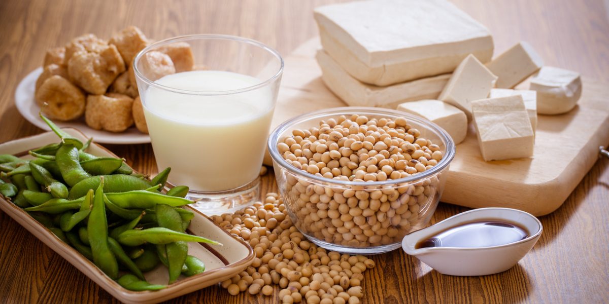 soy-protein:-a-vegan-based-nutrition-source 