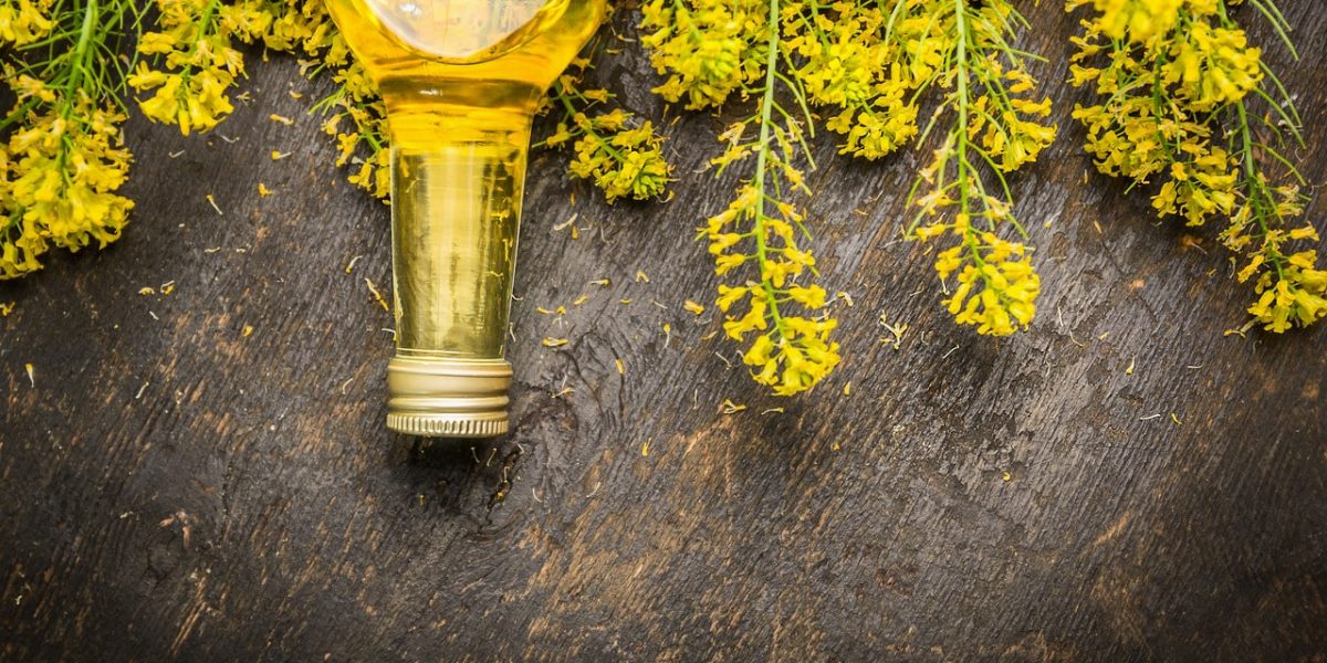 rapeseed-(canola)-oil:-benefits,-uses,-precautions-and-comparisons