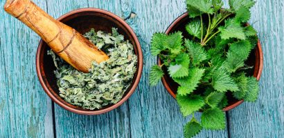 nettle-leaf:-a-wild-gem-of-health-benefits