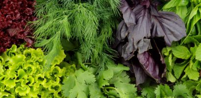 11-lesser-known-indian-leafy-vegetables