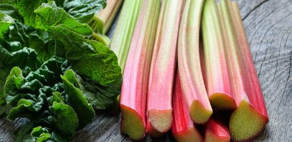 rhubarb-a-versatile-and-delicious-plant