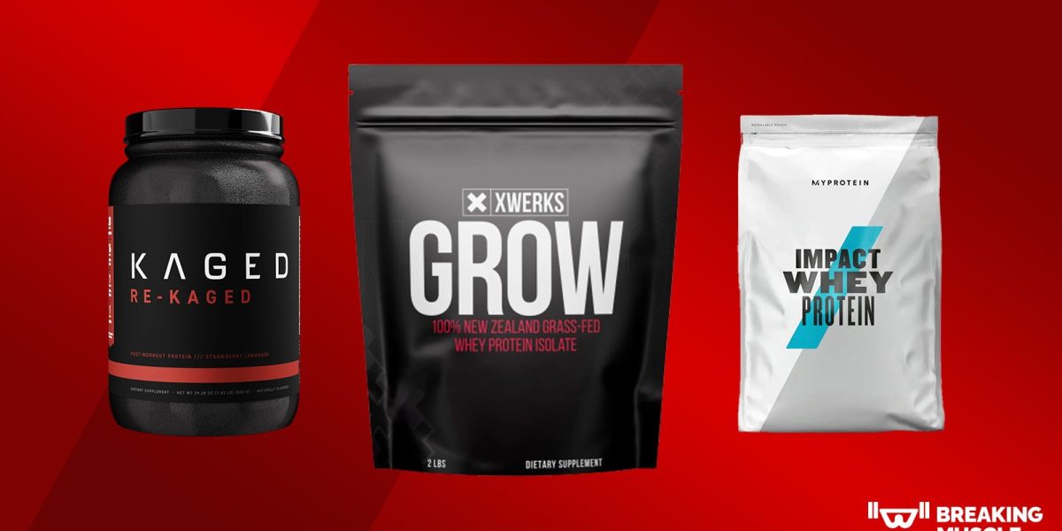 best-protein-powders-for-muscle-gain-for-men,-women,-beginners,-and-more