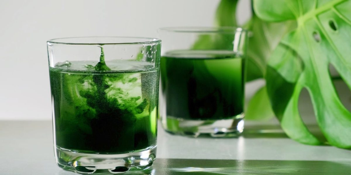 everything-you-should-know-about-chlorophyll-water