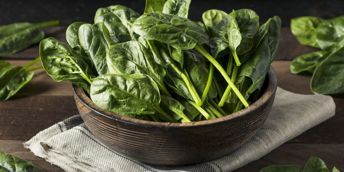 the-green-powerhouse:-spinach-and-its-health-benefits