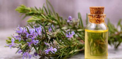 rosemary-essential-oil:-discover-its-health-benefits