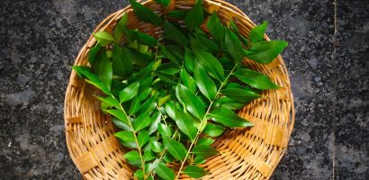 curry-leaves-benefits:-what-one-needs-to-know