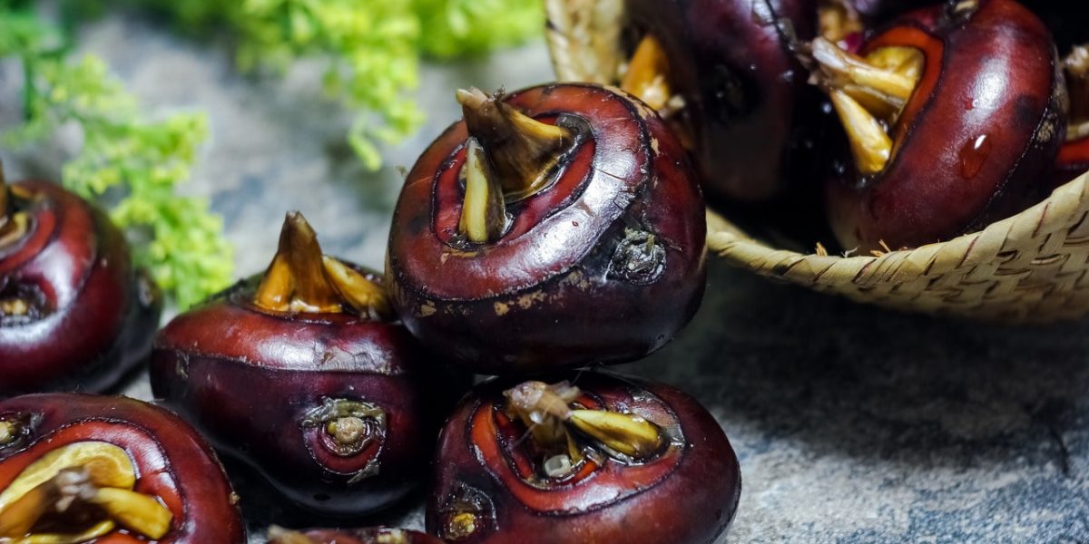 the-untold-benefits-of-water-chestnuts