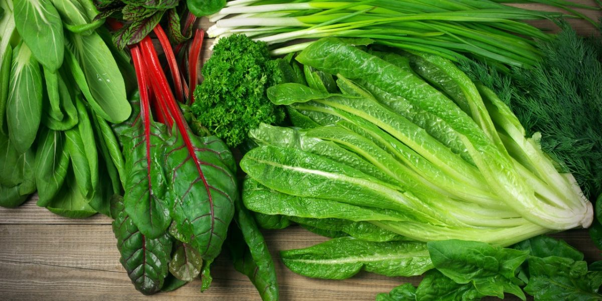 leafy-green-vegetables:-a-nutritional-powerhouse