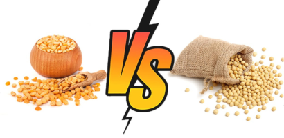 pea-protein-vs-soy-protein:-which-is-better?